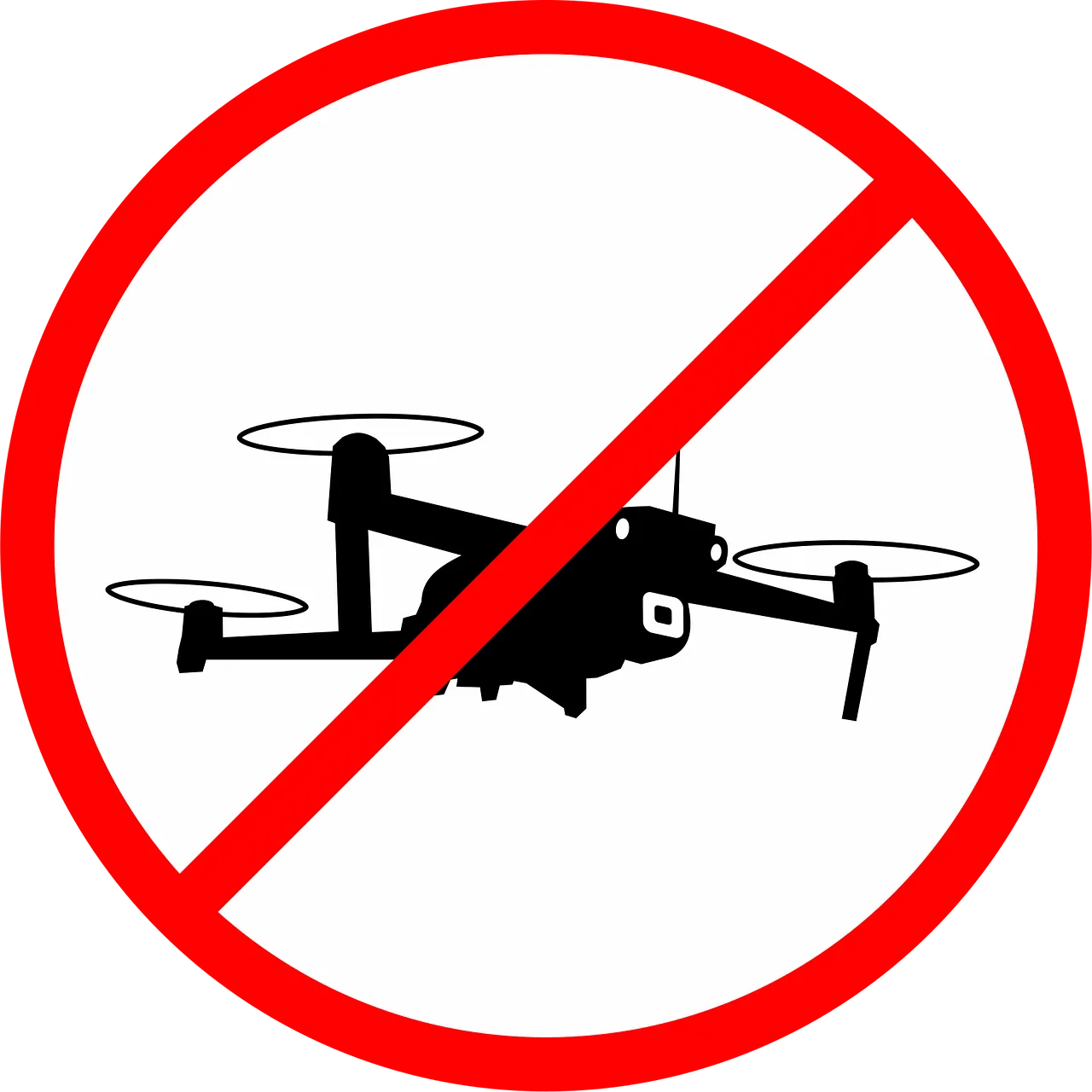 RealFlight Drone Simulator w/I