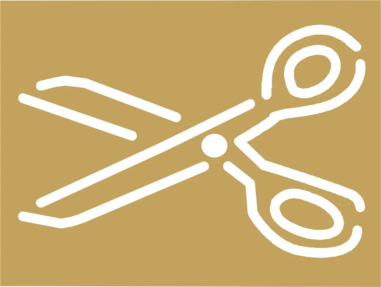 Curved Lexan Scissors