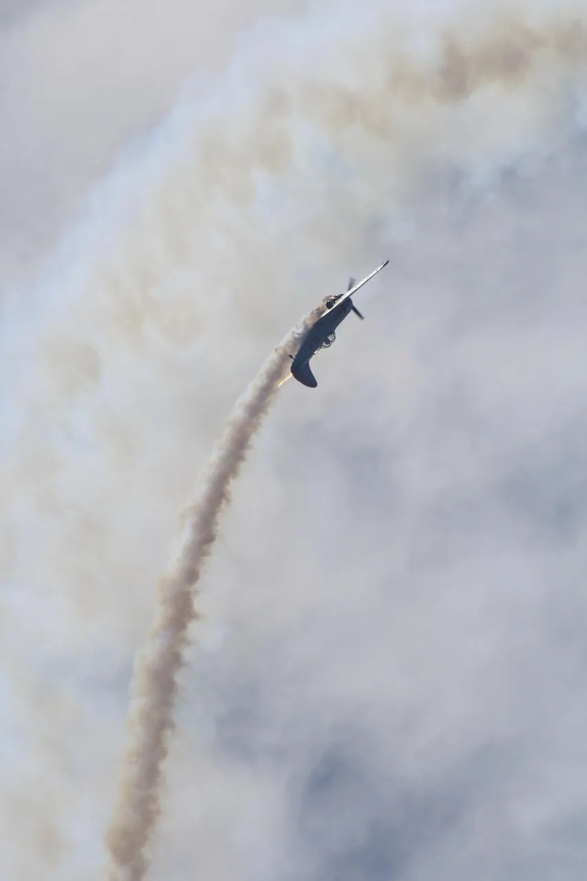 Landing Gear EP Yak 55M ARF