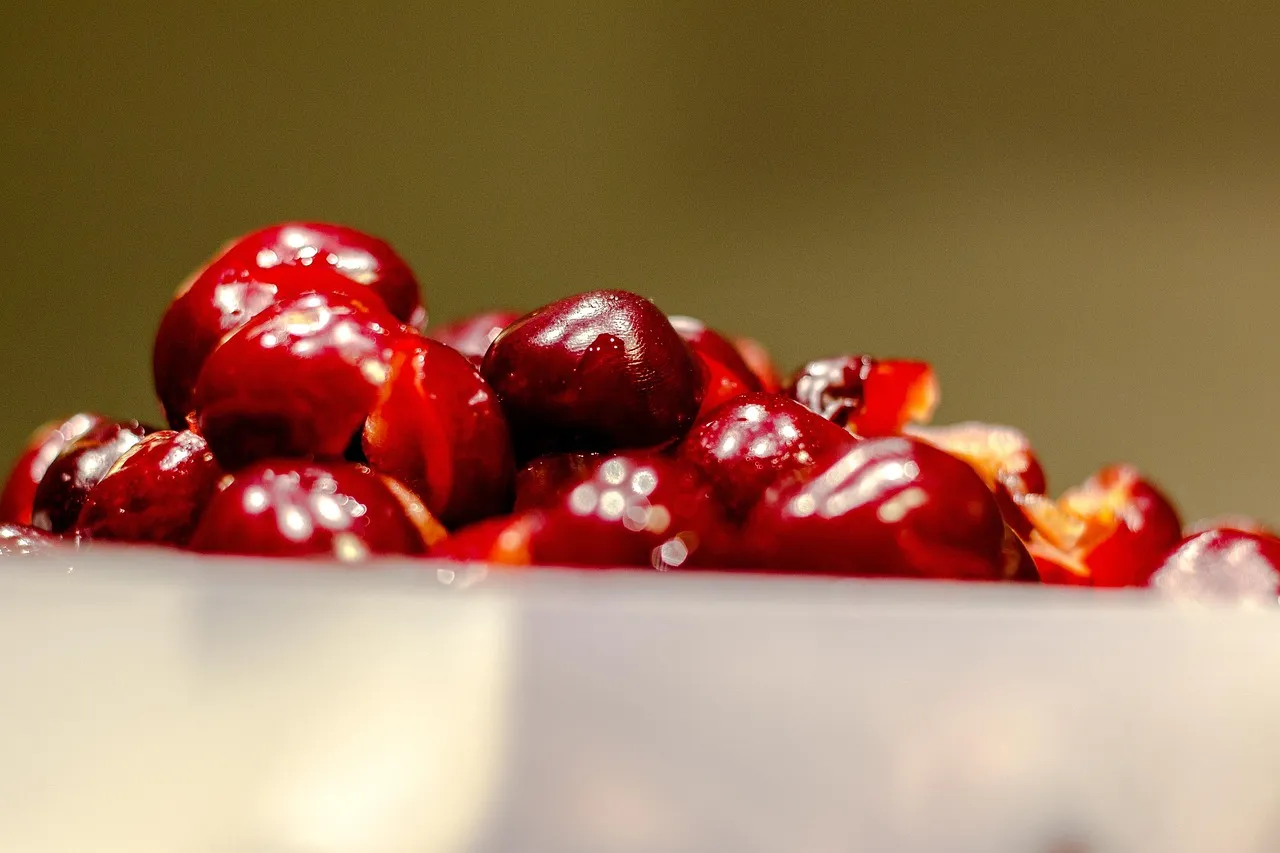 Faskolor, Burgundy