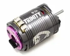 Team Trinity D4 17.5T ROAR Spec "Certified" Brushless Motor