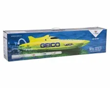Miss Geico 17-inch Catamaran B